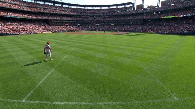 バックスタンドの客席から見た外野選手の画像